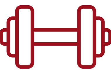 ENTRENAMIENTO PERSONALIZADO BAM BAM DOBERMAN